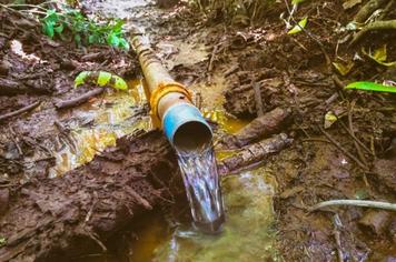 Proteção de nascentes ajuda área rural do Paraná a enfrentar a seca