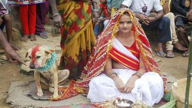 Moça casa com cachorro na Índia para 