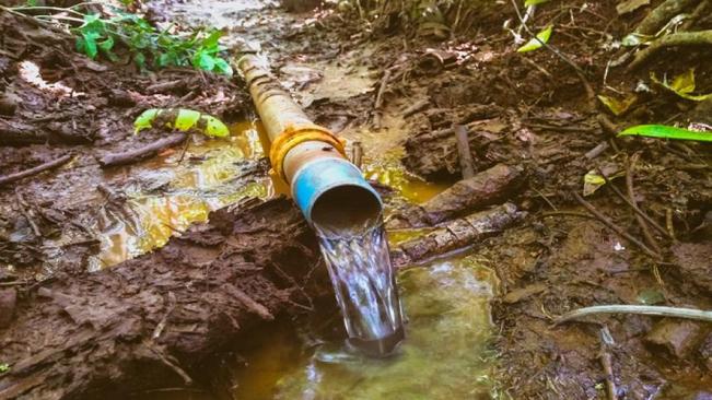 Proteção de nascentes ajuda área rural do Paraná a enfrentar a seca